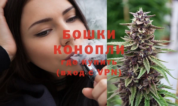 стафф Богданович