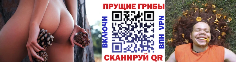 Галлюциногенные грибы мухоморы  Купить  Грязовец 