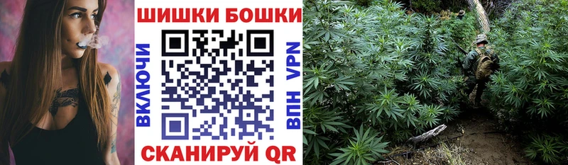 Купить  Грязовец  Бошки Шишки конопля 